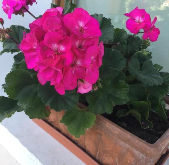 Bed & Breakfast Col Mazzet