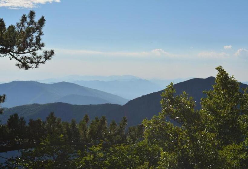 酒店 Agriturismo Monte Pu