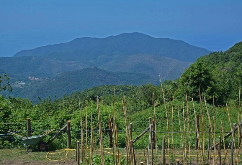 酒店 Agriturismo Monte Pu