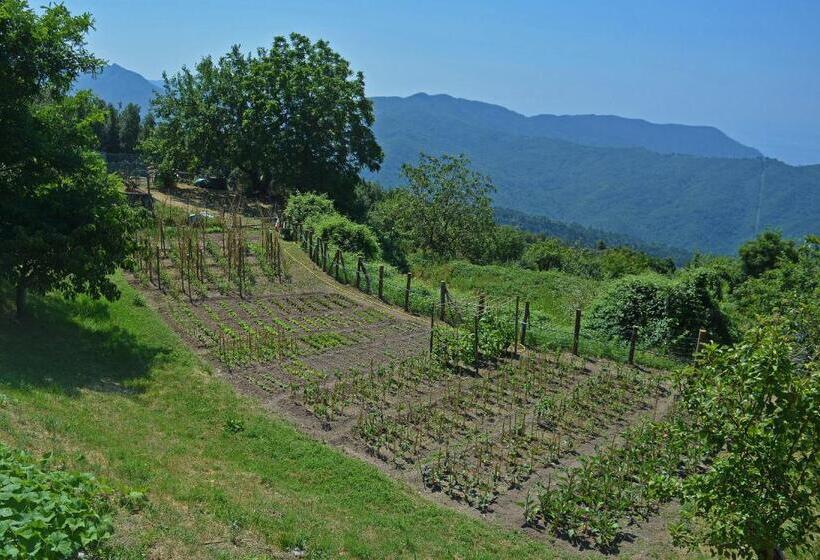 酒店 Agriturismo Monte Pu