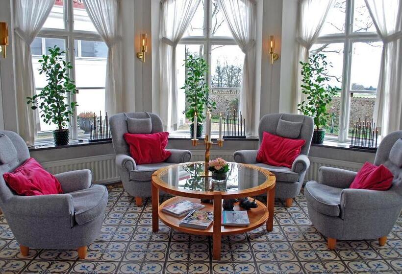 酒店 Bjärsjölagårds Slott