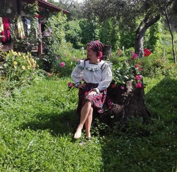 فندق La Vasile La Cazan