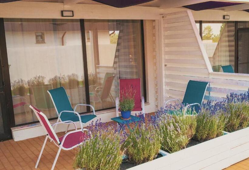 ホテル Lavender Villa