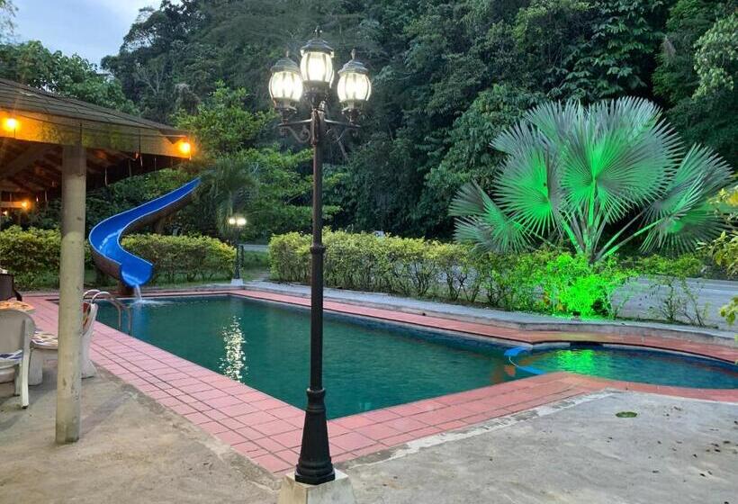 Отель Los Mangos