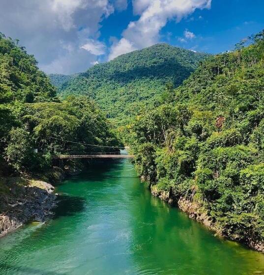 Отель Los Mangos