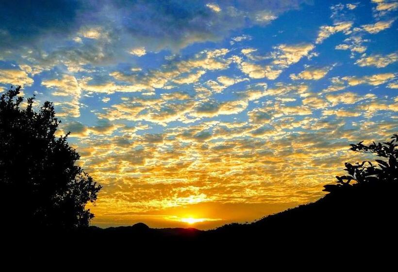 Отель Los Mangos