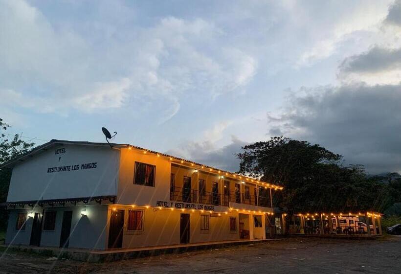 Отель Los Mangos