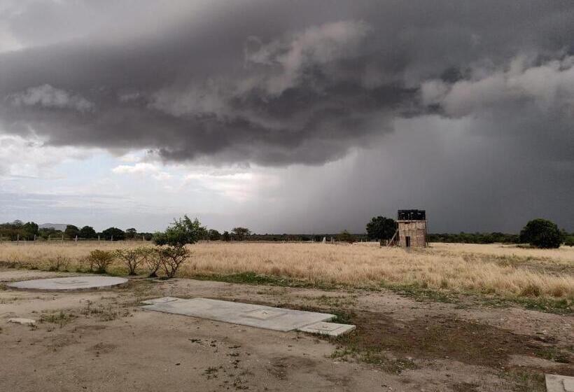 ホテル Mark S Farm & Ecolodge