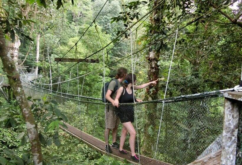 酒店 Mulu National Park