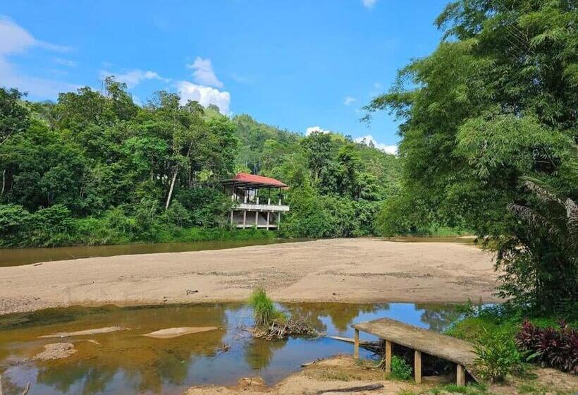 ホテル Riverside Palm Inn Sg Lembing