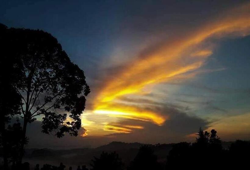 בית מלון כפרי Riverside Palm Inn Sg Lembing