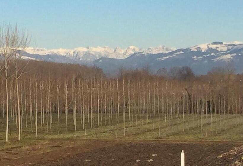 Отель San Ferdinando