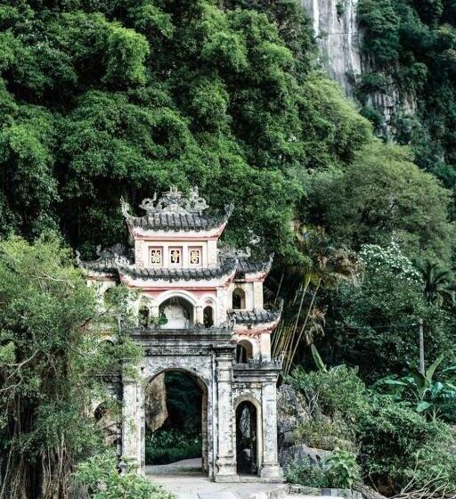 호텔 Wild Flower Homestay