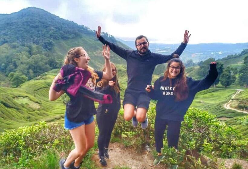 פנסיון A3a Oastel Coliving