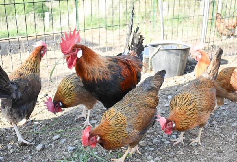 펜션 Casa Petre E Fiori