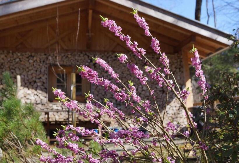 ペンション Ferienhaus Waldwinkl