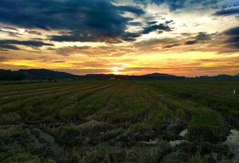 بنسيون Kawah Padi Garden Villa Langkawi
