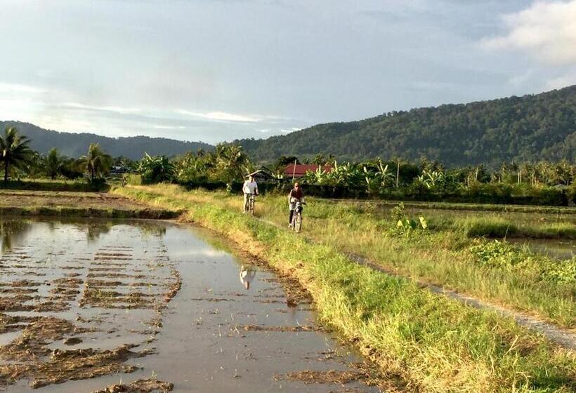 膳宿费 Kawah Padi Garden Villa Langkawi