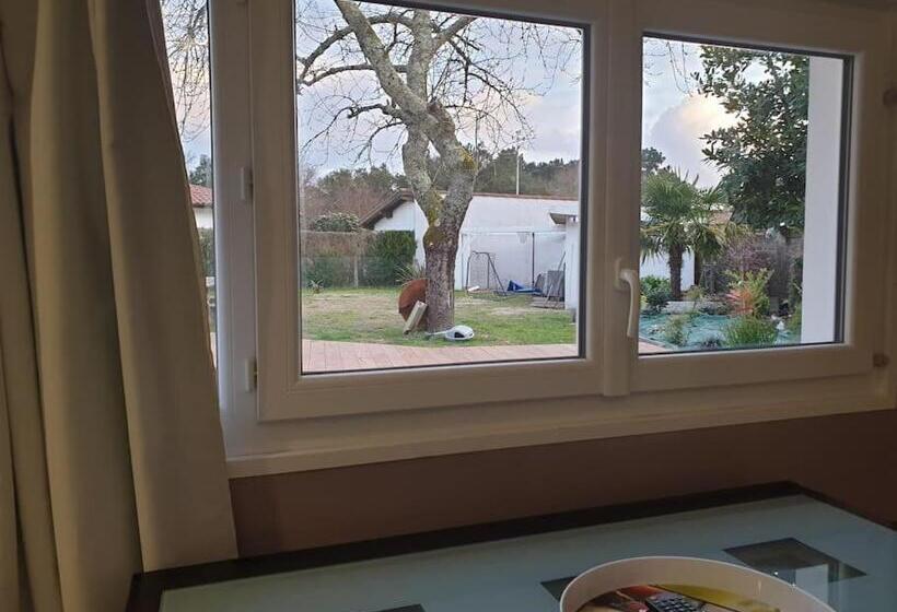 פנסיון Maisonnette Guest House