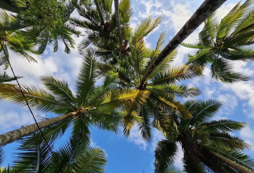 פנסיון Maznah Guest House