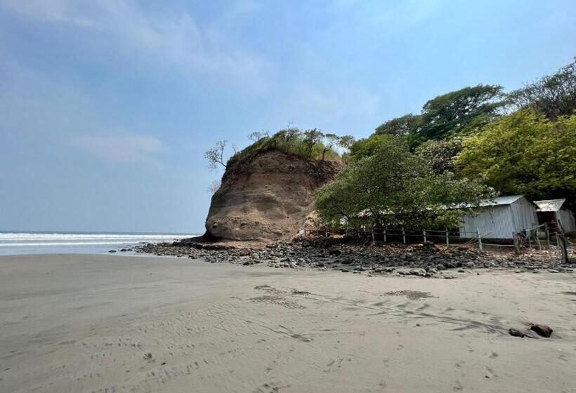 بنسيون Pelicano Surf Camp 2