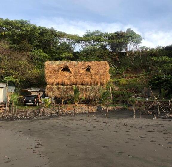 بنسيون Pelicano Surf Camp 2