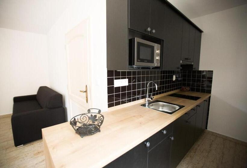 膳宿费 Penzion Harmonika