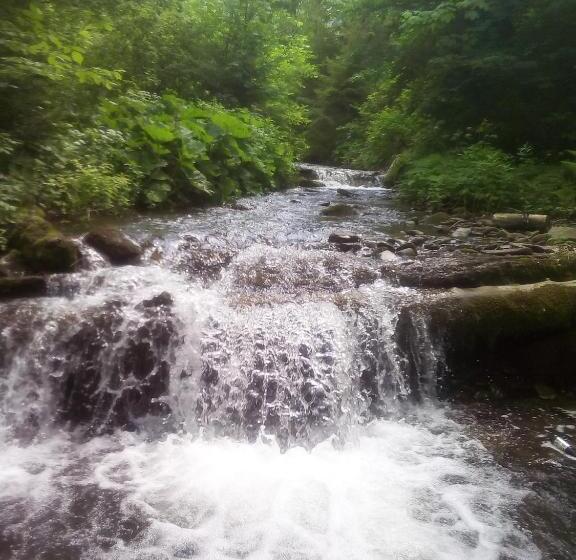 بنسيون Sadyba U Vani