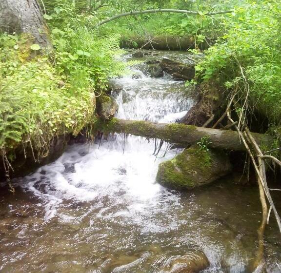 פנסיון Sadyba U Vani