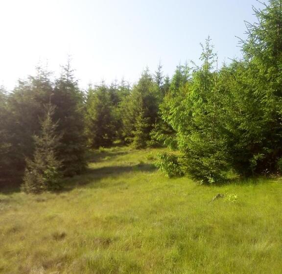 פנסיון Sadyba U Vani