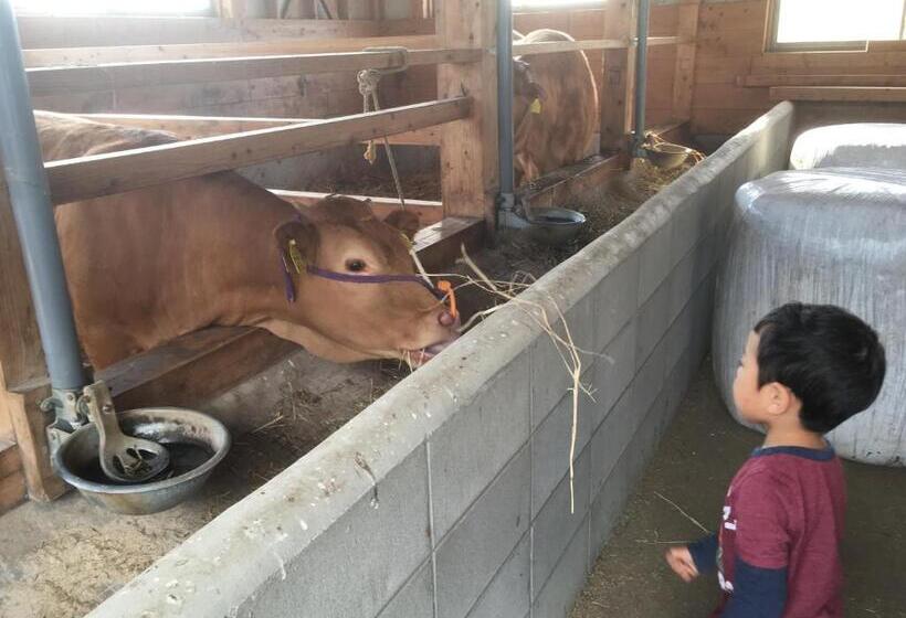 پانسیون Socket