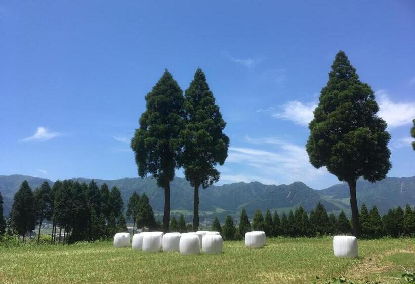 پانسیون Socket