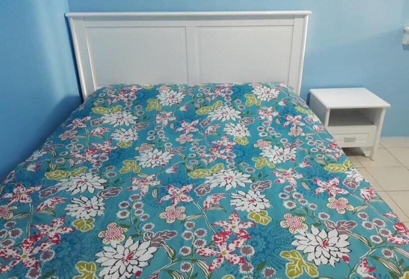 بنسيون The Cave