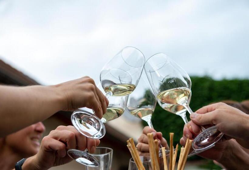 펜션 Weingut Breitenfelder