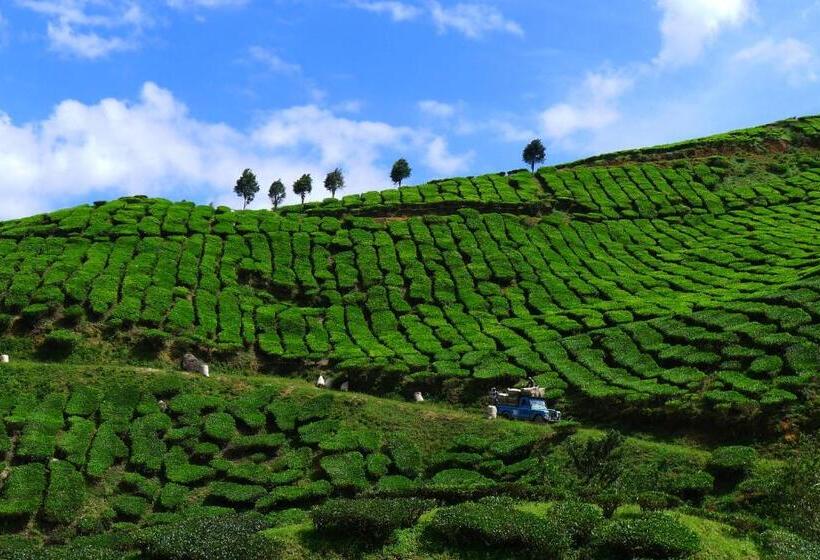 بنسيون Wogoxette Upstairs, A Private Kampung Stay In Cameron Highlands