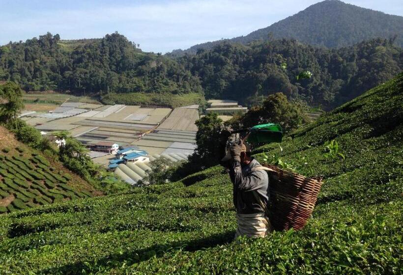 بنسيون Wogoxette Upstairs, A Private Kampung Stay In Cameron Highlands