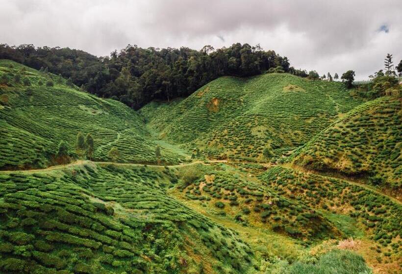 بنسيون Wogoxette Upstairs, A Private Kampung Stay In Cameron Highlands
