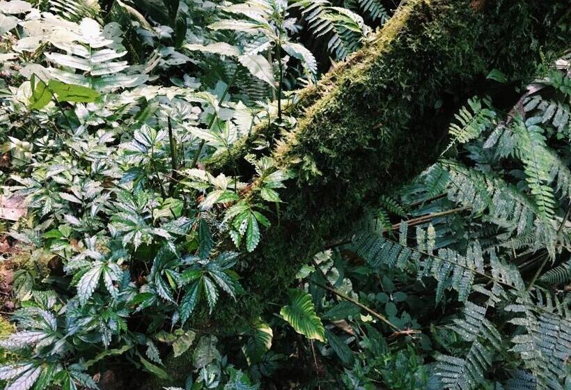 بنسيون Wogoxette Upstairs, A Private Kampung Stay In Cameron Highlands