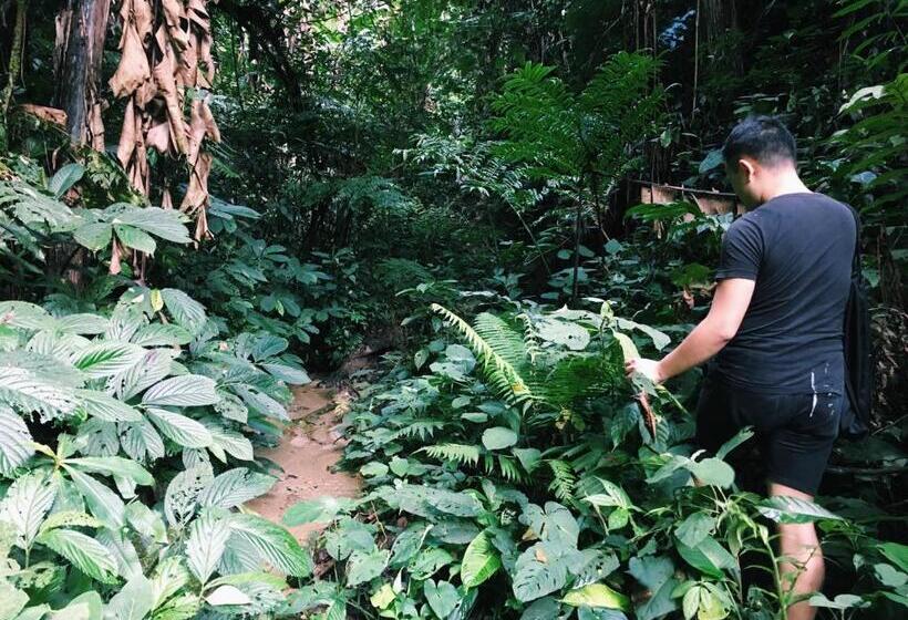 بنسيون Wogoxette Upstairs, A Private Kampung Stay In Cameron Highlands