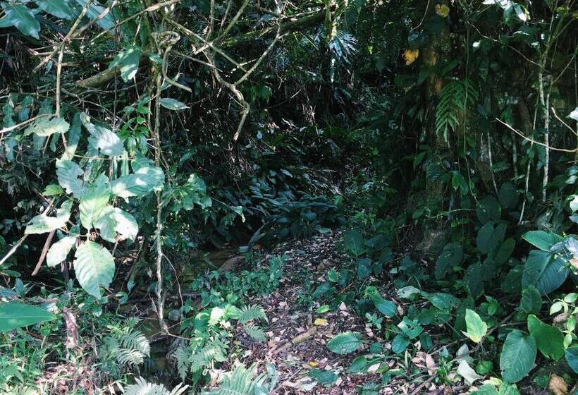 بنسيون Wogoxette Upstairs, A Private Kampung Stay In Cameron Highlands