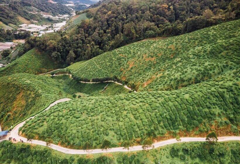 بنسيون Wogoxette Upstairs, A Private Kampung Stay In Cameron Highlands