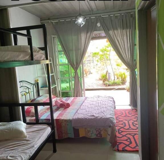 منتجع Dangau Sala D Kontena