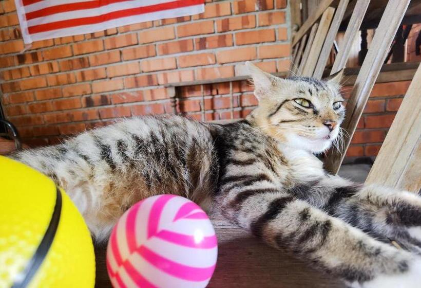 渡假胜地  Dangau Sala D Kontena