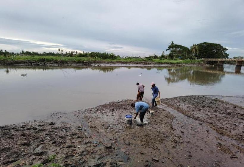 渡假胜地  Dangau Sala D Kontena