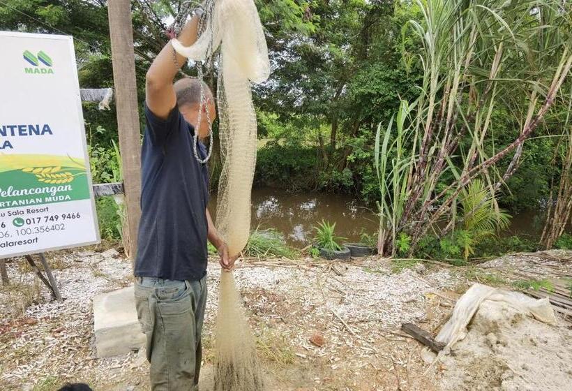 渡假胜地  Dangau Sala D Kontena