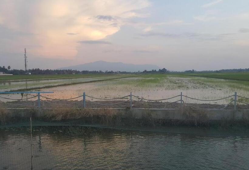 渡假胜地  Dangau Sala D Kontena