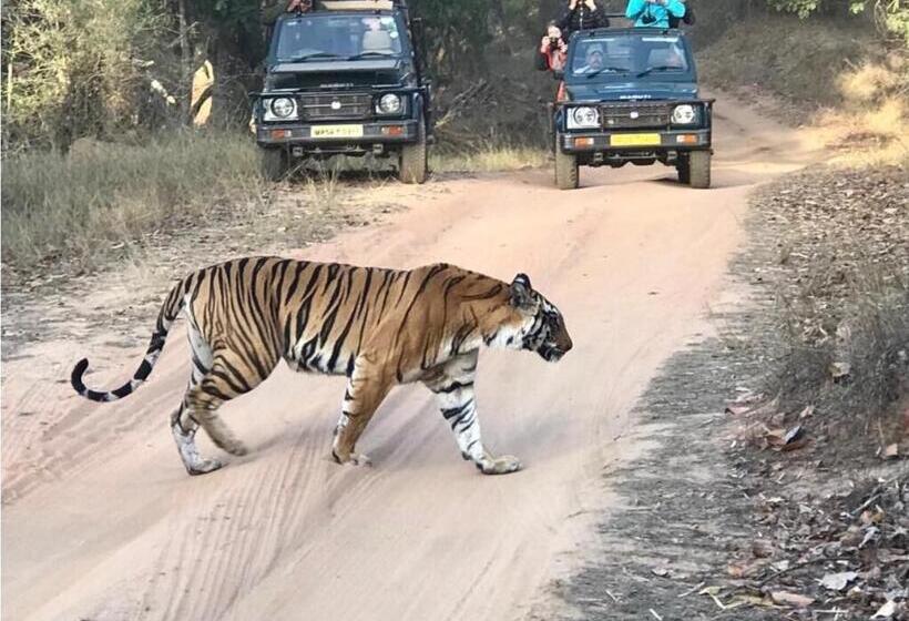 אתר נופש Emerald Tiger Retreat