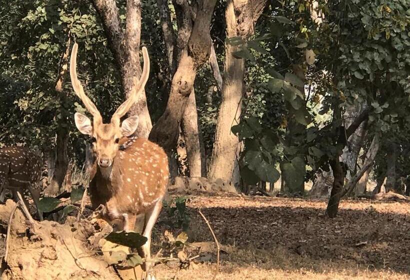 אתר נופש Emerald Tiger Retreat