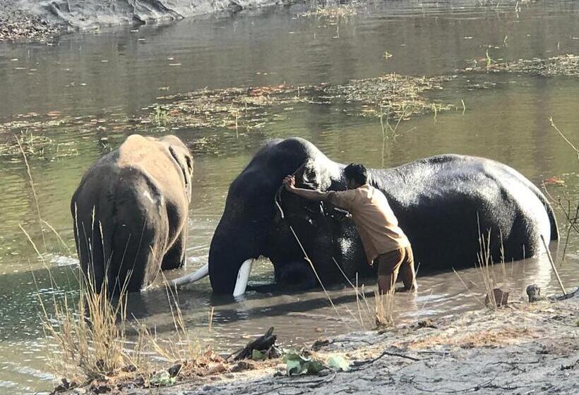 אתר נופש Emerald Tiger Retreat
