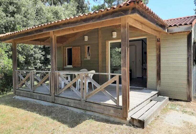 渡假胜地  Les Buissonnets